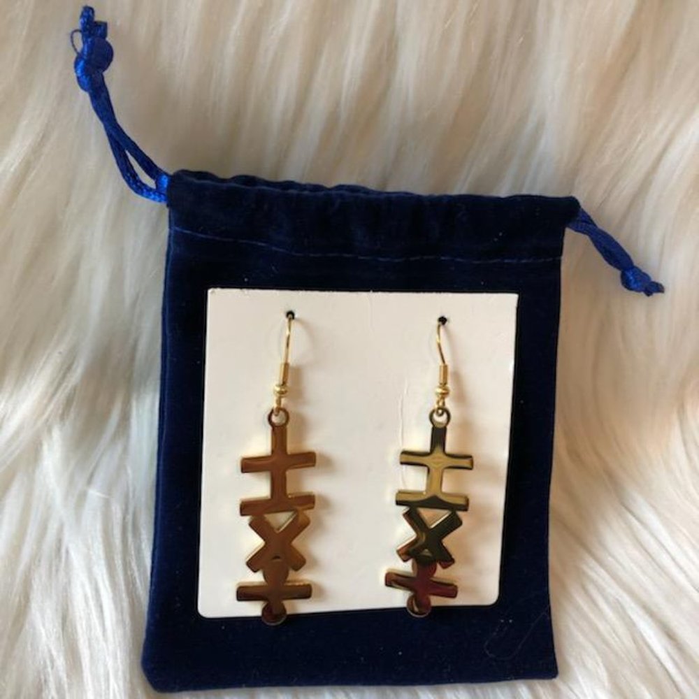 Mathematics Symbol Earrings